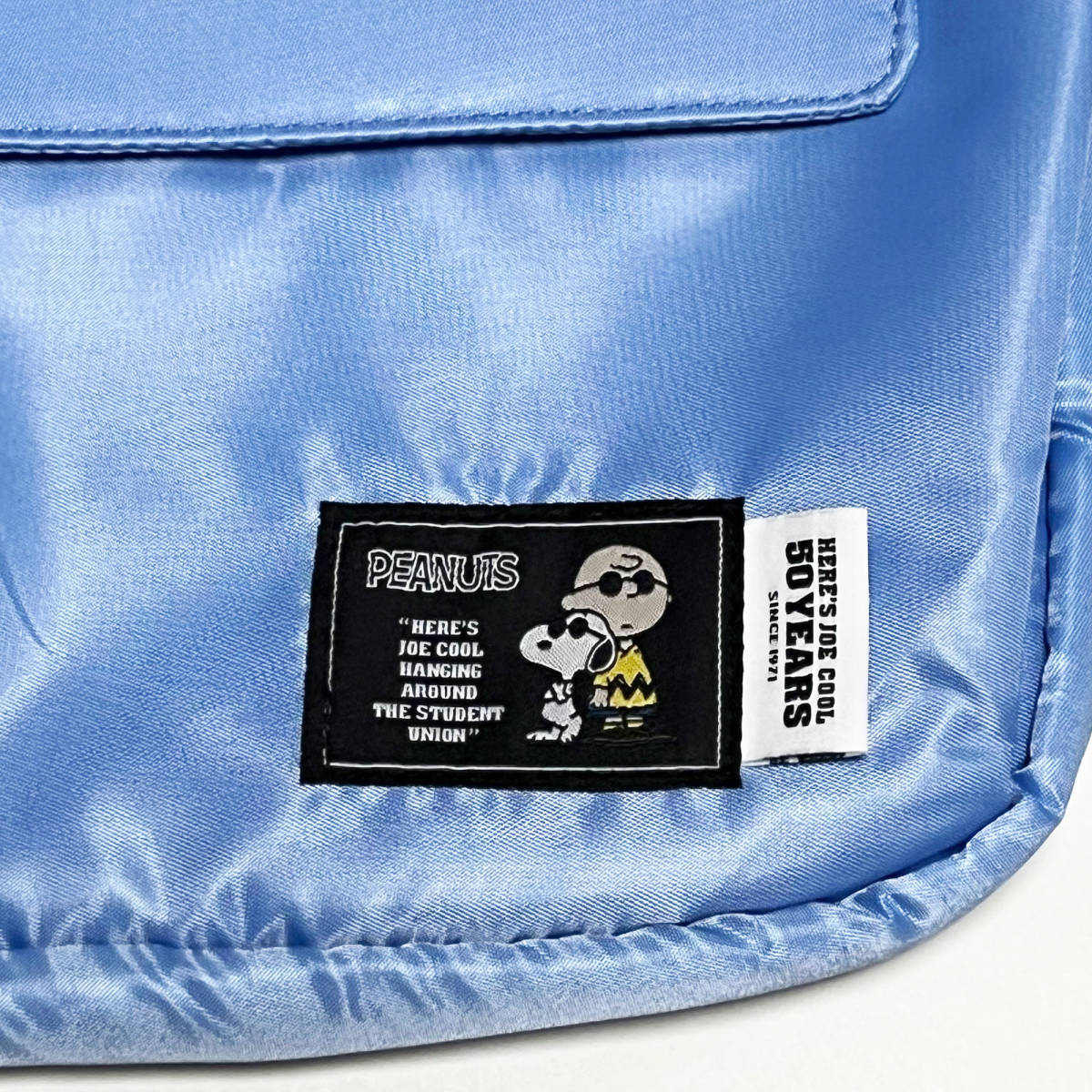 # Snoopy & Charlie Brown 2WAY bag * blue new goods #