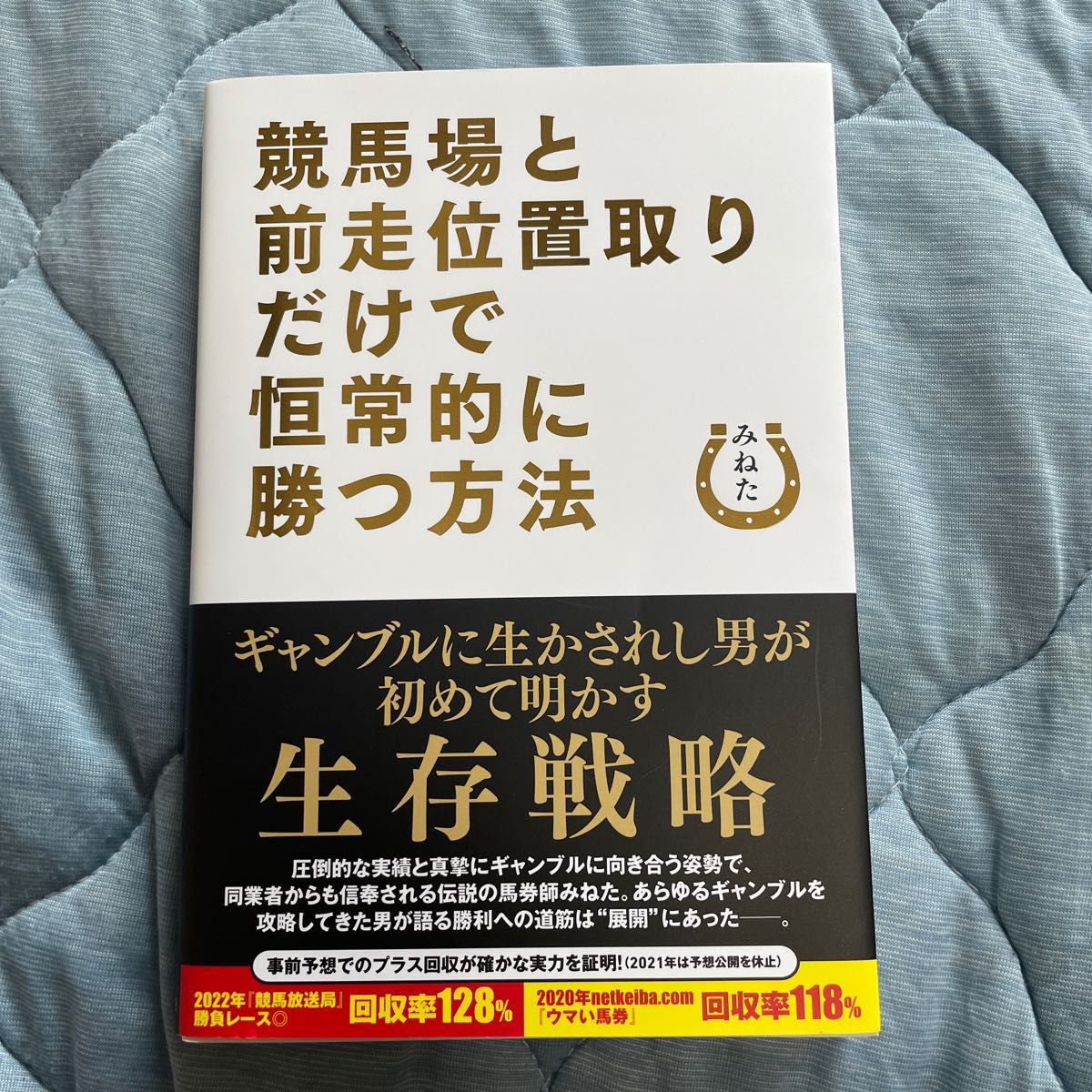 競馬場と前走位置取りだけで恒常的に勝つ方法 みねた／著｜Yahoo