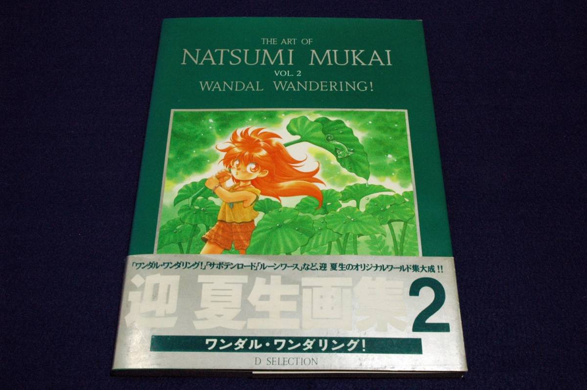 絶版■迎夏生画集2【ワンダル・ワンダリング! 】メディアワークス-1994年初版■サボテンロード.オリジナル作品のみ豪華画集_画像1