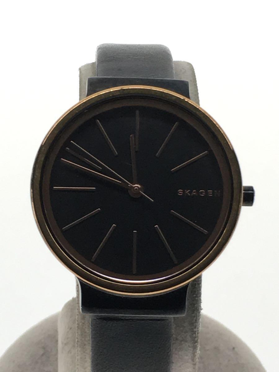 SKAGEN◆クォーツ腕時計/アナログ/レザー/ブラック/ブラック/SS/SKW2480_画像1