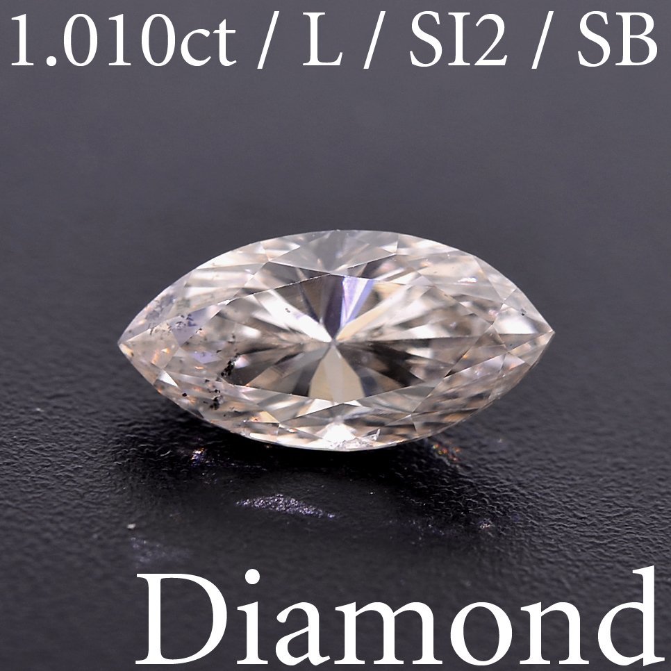 2022特集 マーキース マーキーズ L/SI-2 1.010ct S2953【BSJD】天然