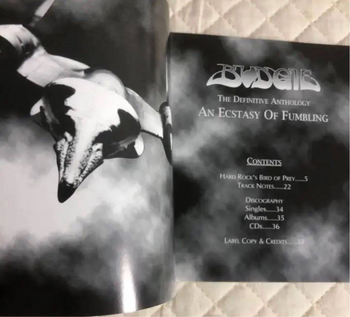 2CD！BUDGIE/バッジー/ AN ECSTACY OF FUMBLING - THE DEFINITIVE ANTHOLOGY_画像9