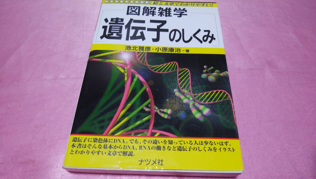 ☆絵と文章でわかりやすい!【図解雑学】☆『 遺伝子のしくみ 』≪著者：池北 雅彦、小原 康治≫/ナツメ社♪_画像1