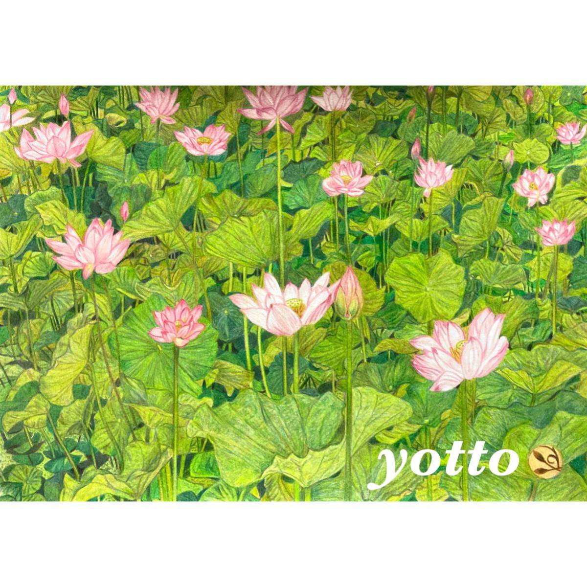 色鉛筆画「 安息 〜 蓮の花 〜 」Ａ４・額付き 手描き 原画 蓮 yotto