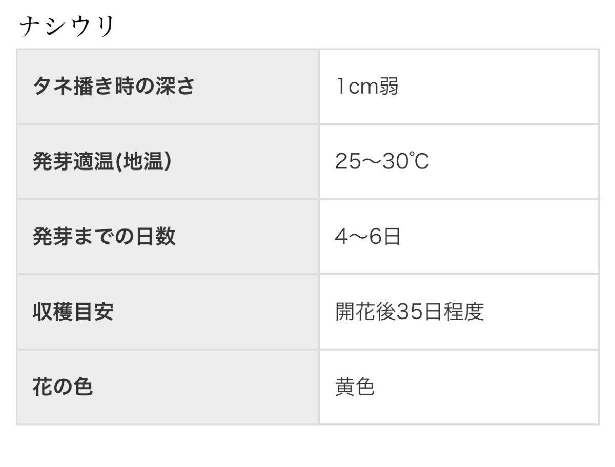 【国内育成・採取】 ナシウリ(自農系) 家庭菜園 種 瓜野菜 果物 フルーツ