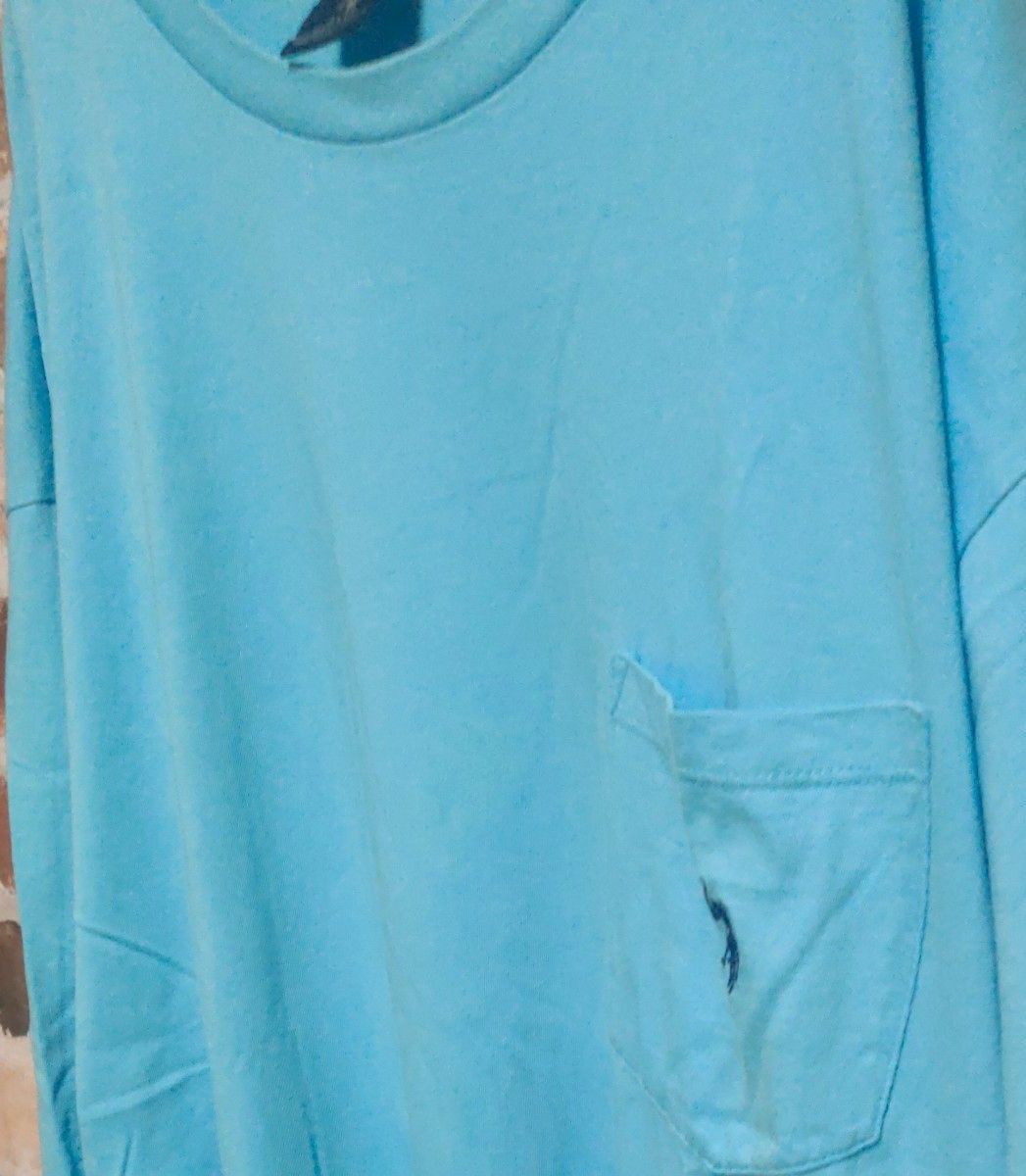 U.S.POLO ASSN.ユーエスポロアッスンワンポイント刺繍ロゴ サックスブルービッグサイズ 大きいサイズTシャツ 2XＬ