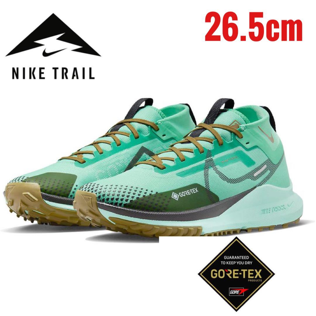 NIKE ナイキ ペガサス トレイル 4 ゴア-テックス NIKE Pegasus Trail 4