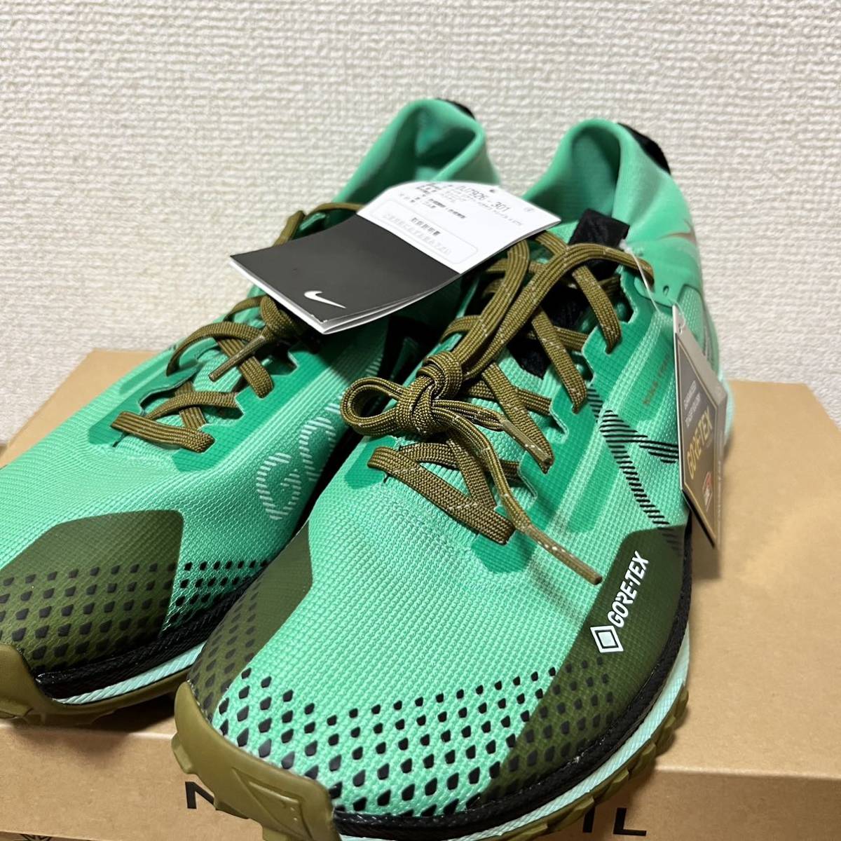 NIKE ナイキ ペガサス トレイル 4 ゴア-テックス NIKE Pegasus Trail 4