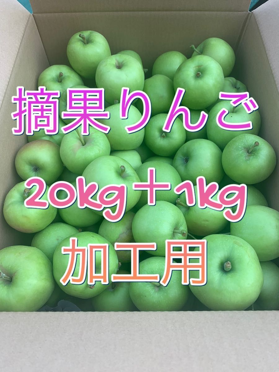 摘果りんご　10kg 1kg 加工用