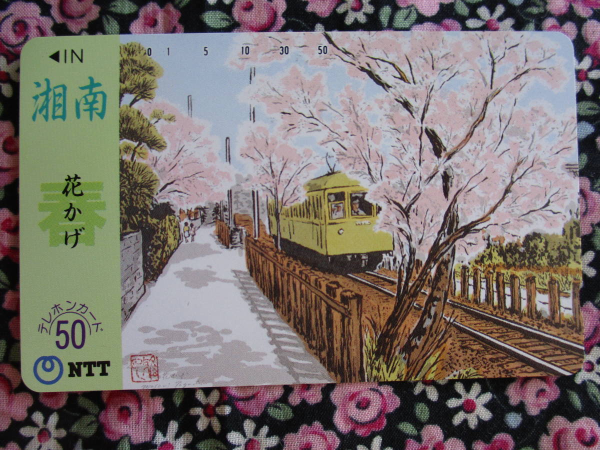 ヤフオク 湘南 花かげ 桜 江ノ電 絵画 テレカ
