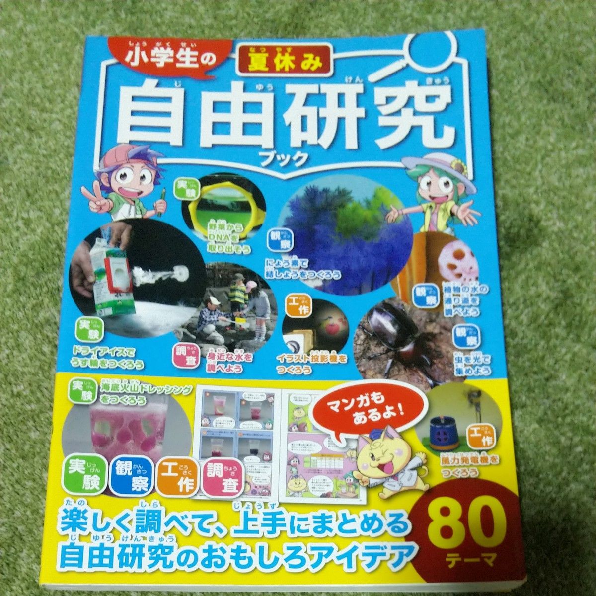 小学生の夏休み自由研究　自由研究のおもしろアイデア８０テーマ ガリレオ工房／編著