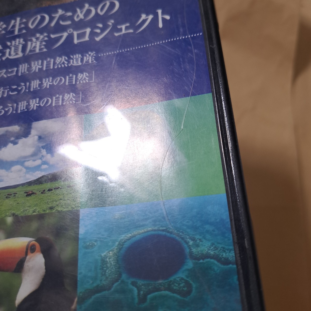 小学生のための世界自然遺産プロジェクト　DVD ディスク良好品　夏休み　宿題_画像2