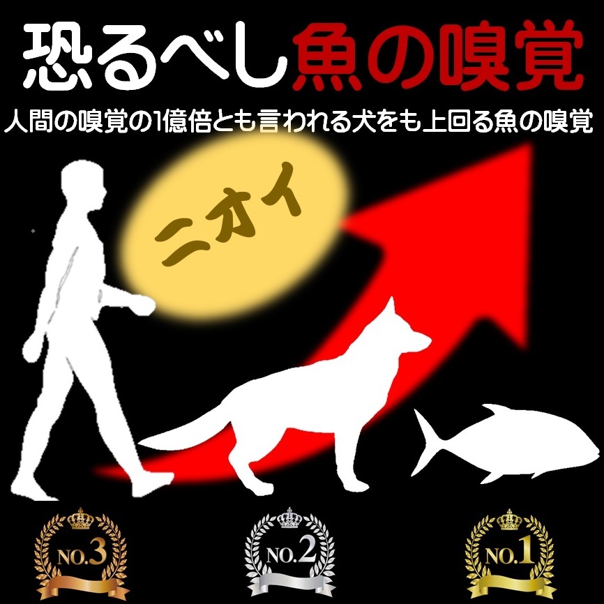 集魚剤 つけエサ用 アミノ酸 桜エビ パウダー20g２個組 冷凍 オキアミ 冷凍イワシ エサ 海上釣堀 エサ アミエビ 釣りエサ 釣り餌 釣りエサ_画像5