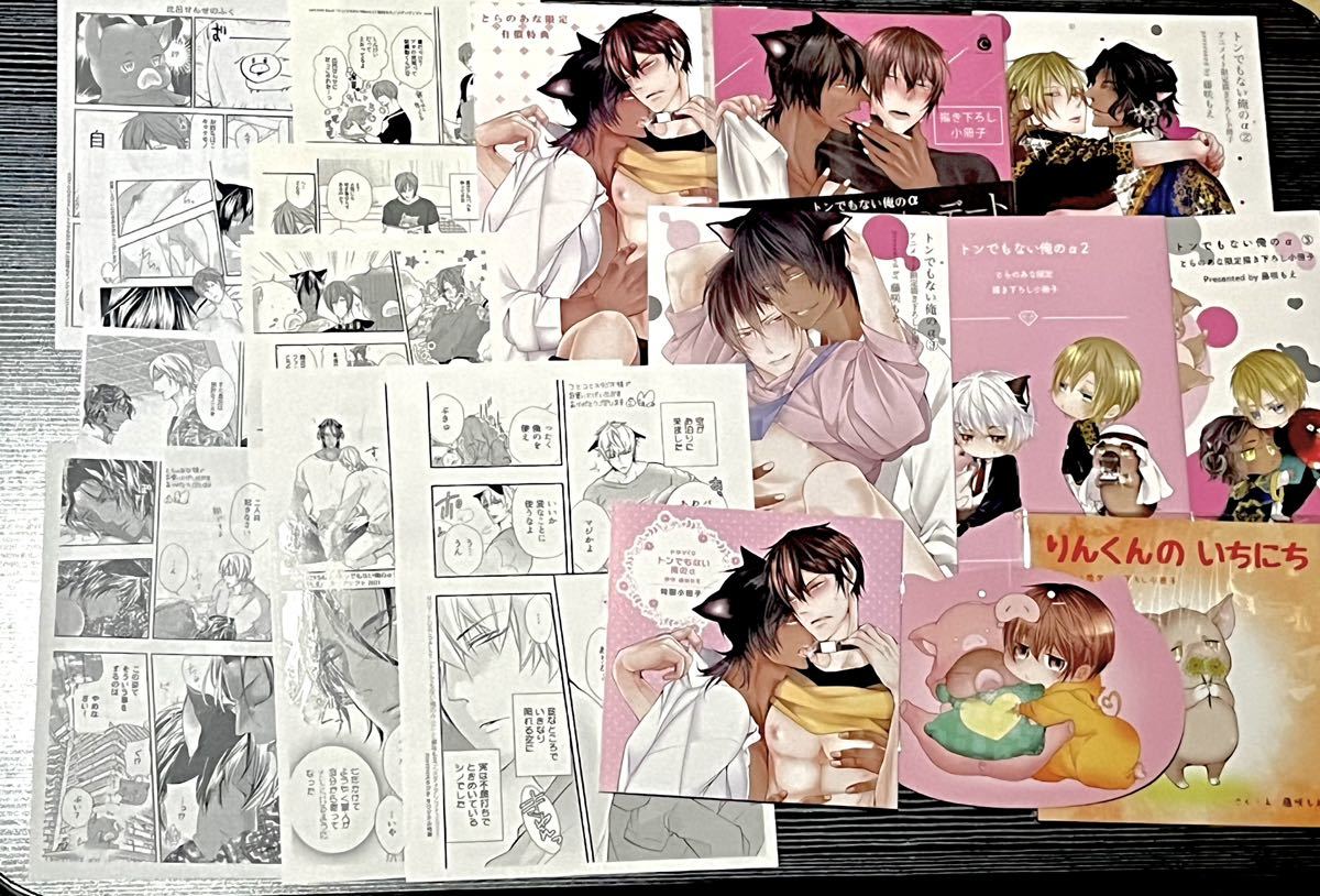 買い保障できる BL 特典セット 小冊子 ペーパー 藤咲もえ アニメイト