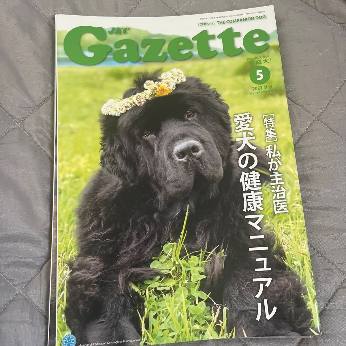 JKC  Gazette  家庭犬　ガゼット