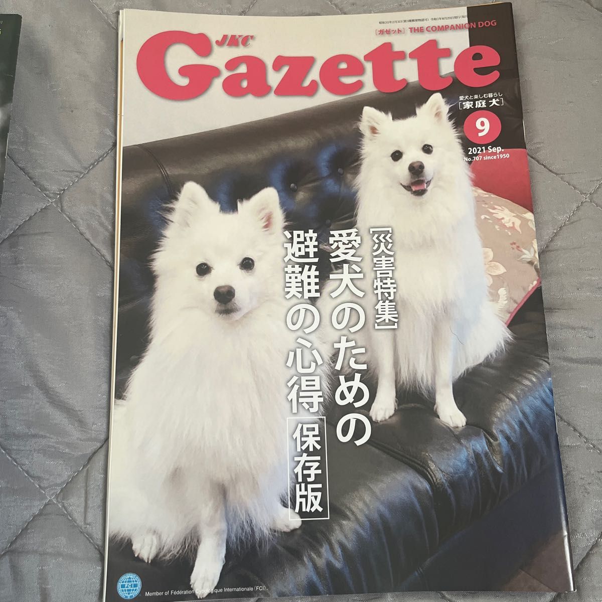 JKC  Gazette  家庭犬　ガゼット