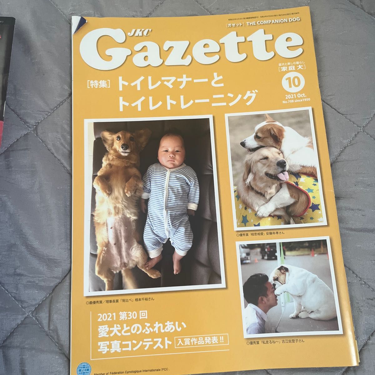 JKC  Gazette  家庭犬　ガゼット