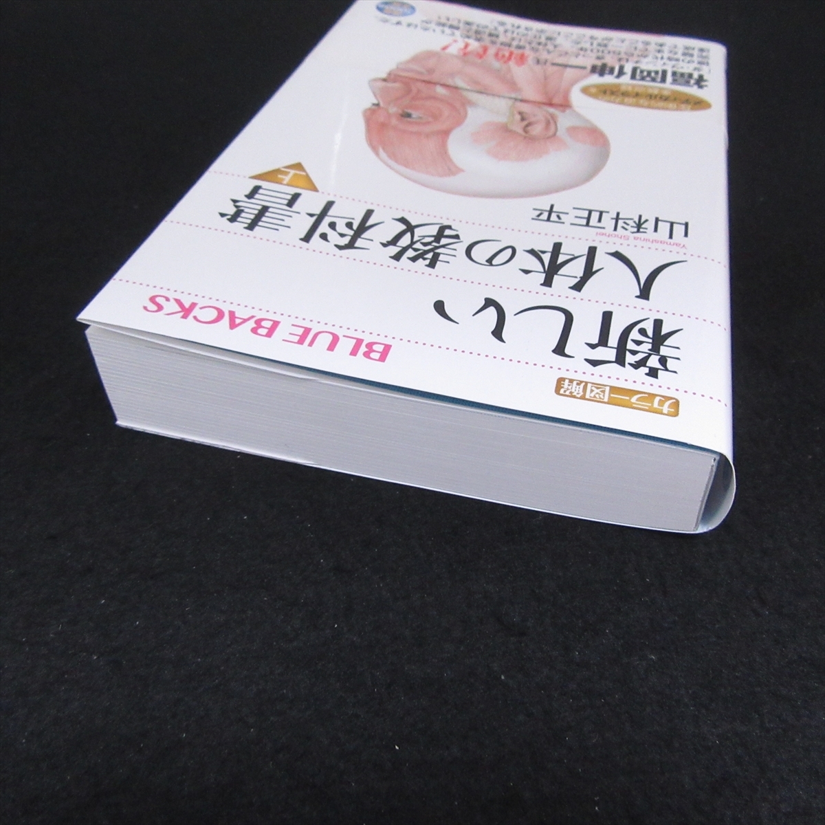 本 『カラー図解 新しい人体の教科書 上』 ■送料無料 山科正平 ブルーバックス　細胞と器官 骨格 骨格筋系 循環器系 消化器系 呼吸器系□_画像4