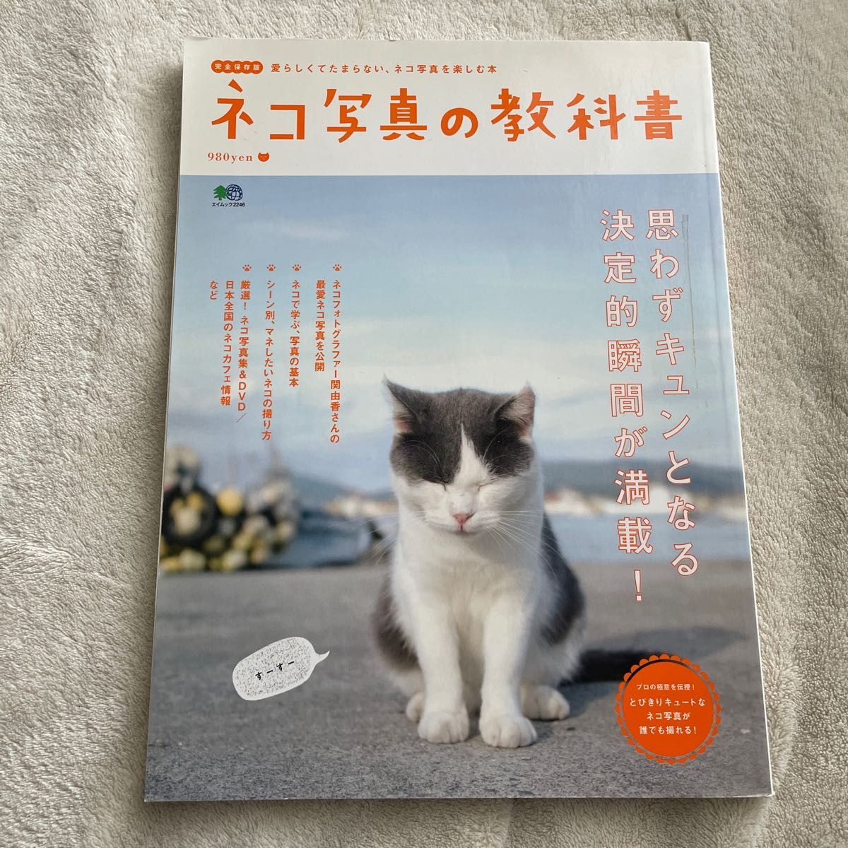 ネコ写真の教科書 : 愛らしくてたまらない、ネコ写真を楽しむ本 : 完全保存版
