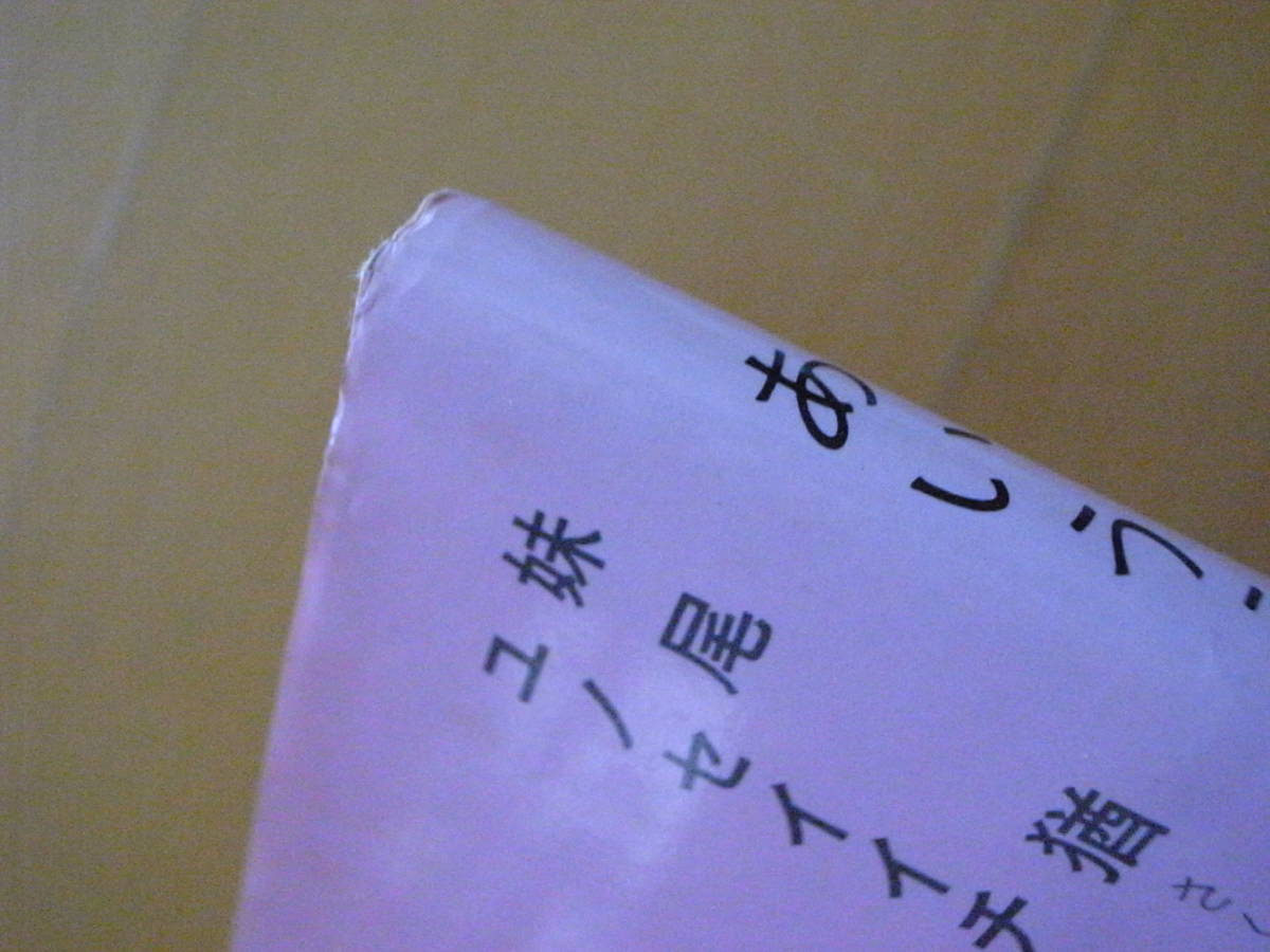 【封入物/KOINOBORI付】あいうえおのくに/妹尾猶/ユノセイイチ（湯野誠一）/大日本絵画/1978年1版/昭和レトロ絵本/言葉/文字/イラス_画像6