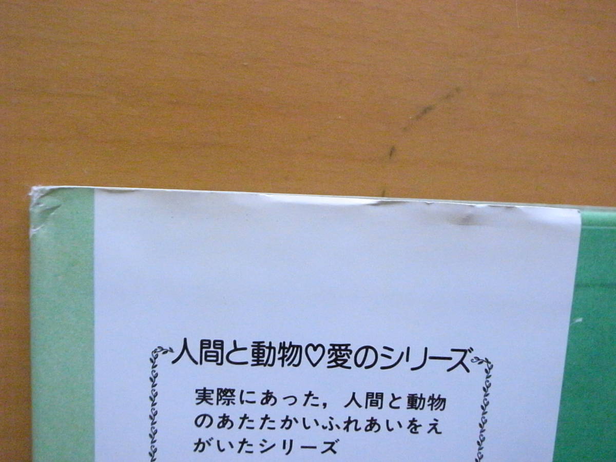 【帯・カバーあり】魚料理もどうぞ/瀬尾七重/牧村慶子/旺文社創作児童文学/ファンタジー6編/1985年初版/昭和レトロ児童書/猫/ネコ_画像6