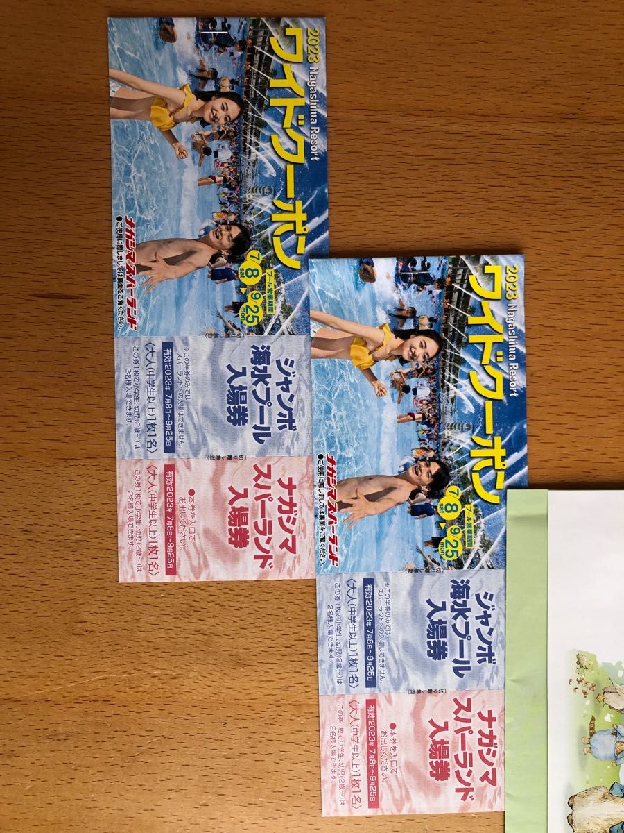 ナガシマスパーランド ワイドクーポン 2冊セット|PayPayフリマ