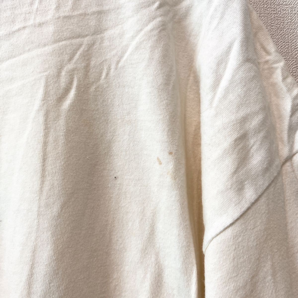 90s アメリカ製　半袖Tシャツ　ビッグプリント　トカゲ　シングルステッチ　Mサイズ　ユニセックス　カットソー　USA製　白色　ヘインズ_画像8