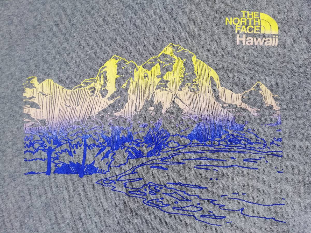 新品未使用 ザ ノースフェイス ハワイ限定 グラフィック パーカー メンズＸＬサイズ グレー Hawaii THE NORTH FACE_画像2