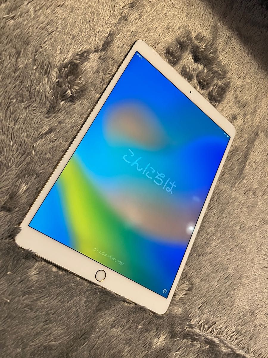 【24時間限定大幅値下げ】iPad Pro 10.5inch Wi-Fi+Cellular 256GB