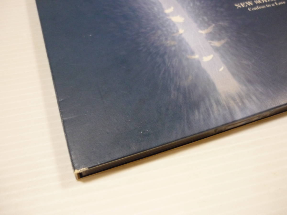 [管00]【送料無料】CD NEW SODMY Confess to a Love KAMIJO LAREINE Versailles BLUE-B Arege GLAMOROUS HONEY 邦楽_画像3