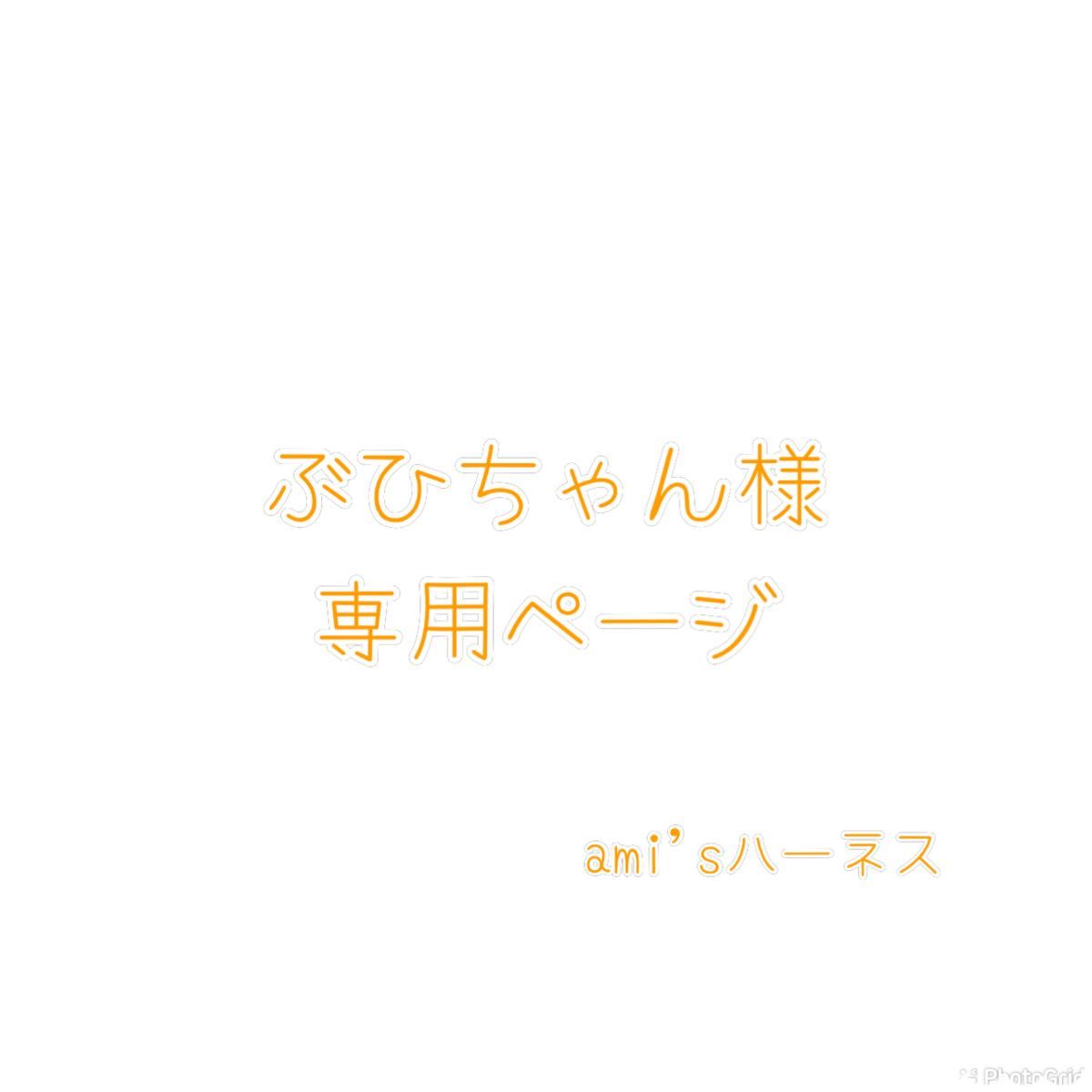 ぶひちゃん様専用ページです｜Yahoo!フリマ（旧PayPayフリマ）