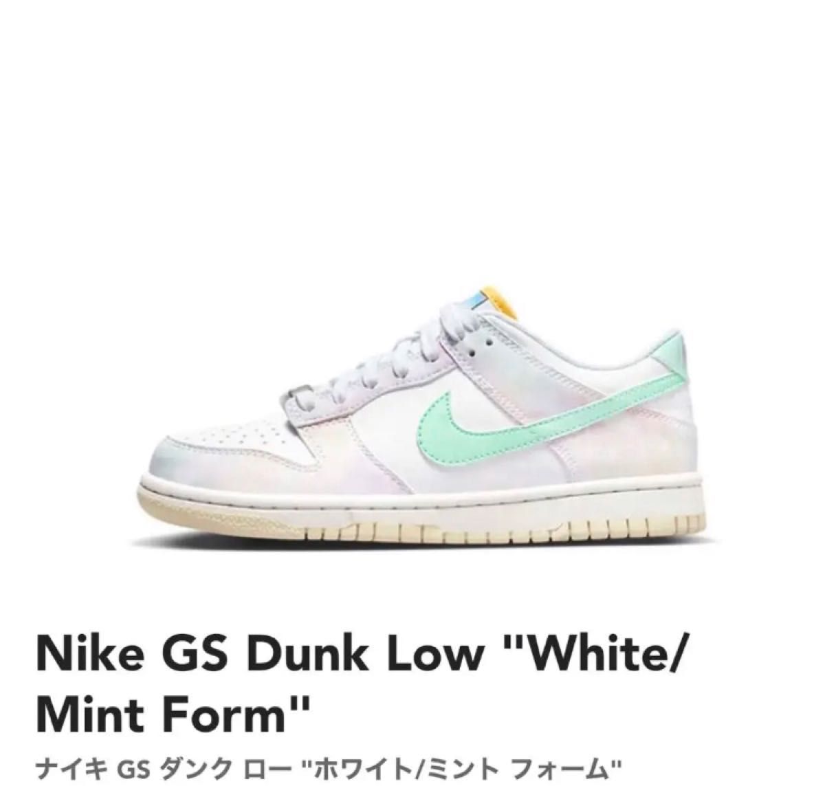 ラスト①点 レア限定 パステル ペイズリー24cm【新品】NIKE GS DUNK