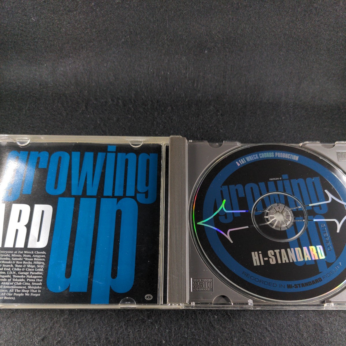 27-95【輸入】Growing Up Hi-STANDARD_画像2