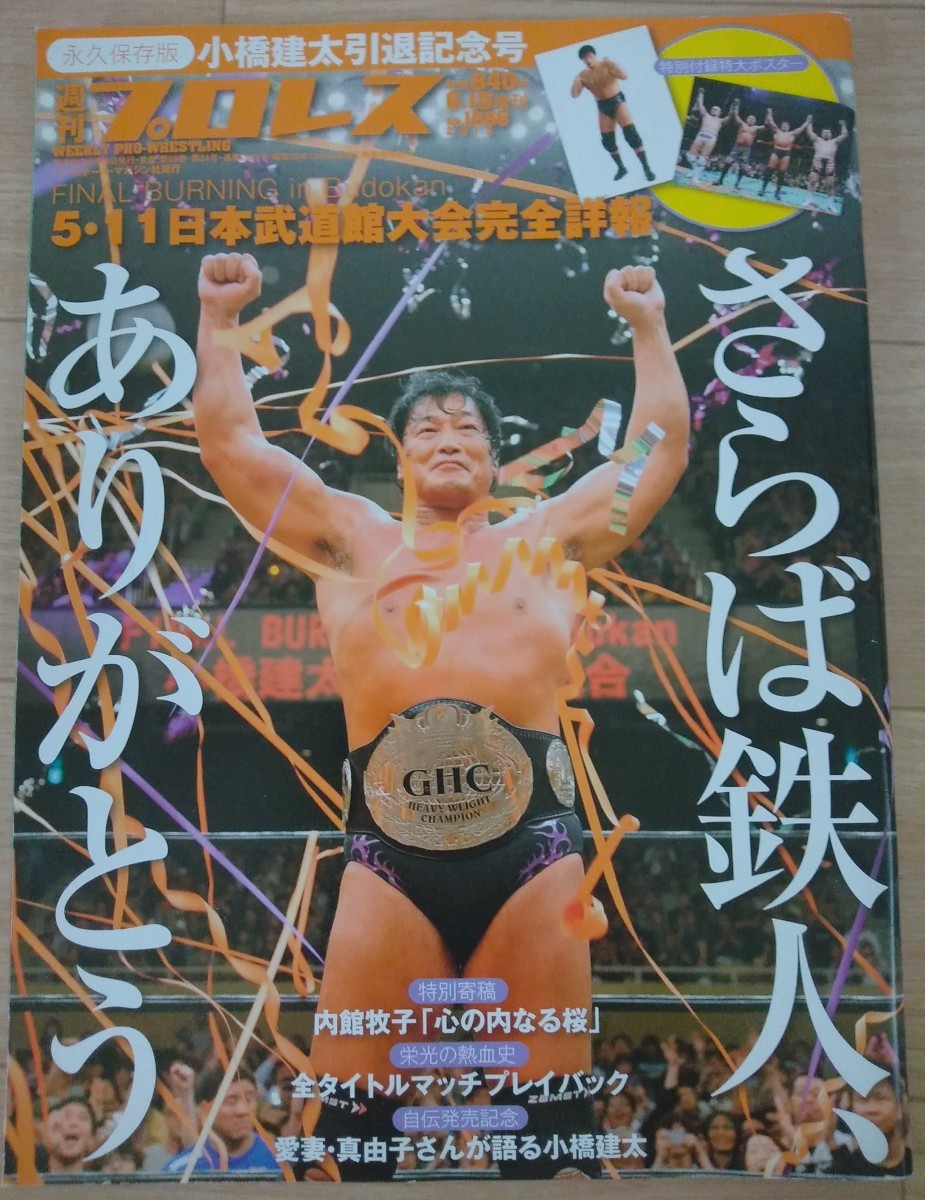 品質は非常に良い 2013年6月15日増刊号 【送料無料】週刊プロレス 通巻
