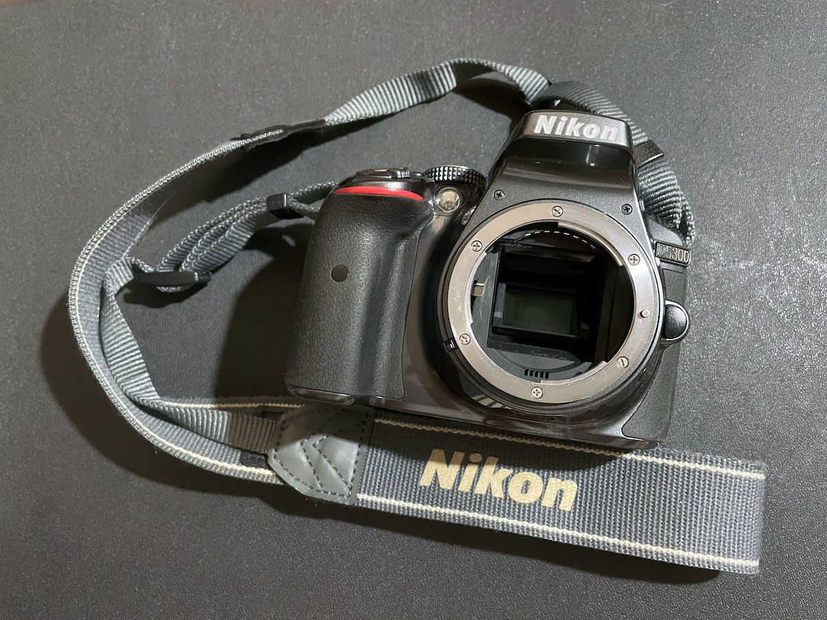 【天体・赤外線改造】Nikon D5300グレーカラー ⑤ クリア or FUJIフィルター換装改造機（赤外線仕様の場合フィルター種選択可能）