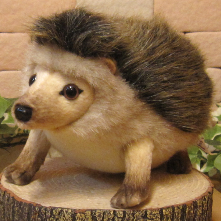  еж. украшение настоящий . животное. мягкая игрушка pigmi- Hedgehog животное произведение искусства интерьер товары фигурка 