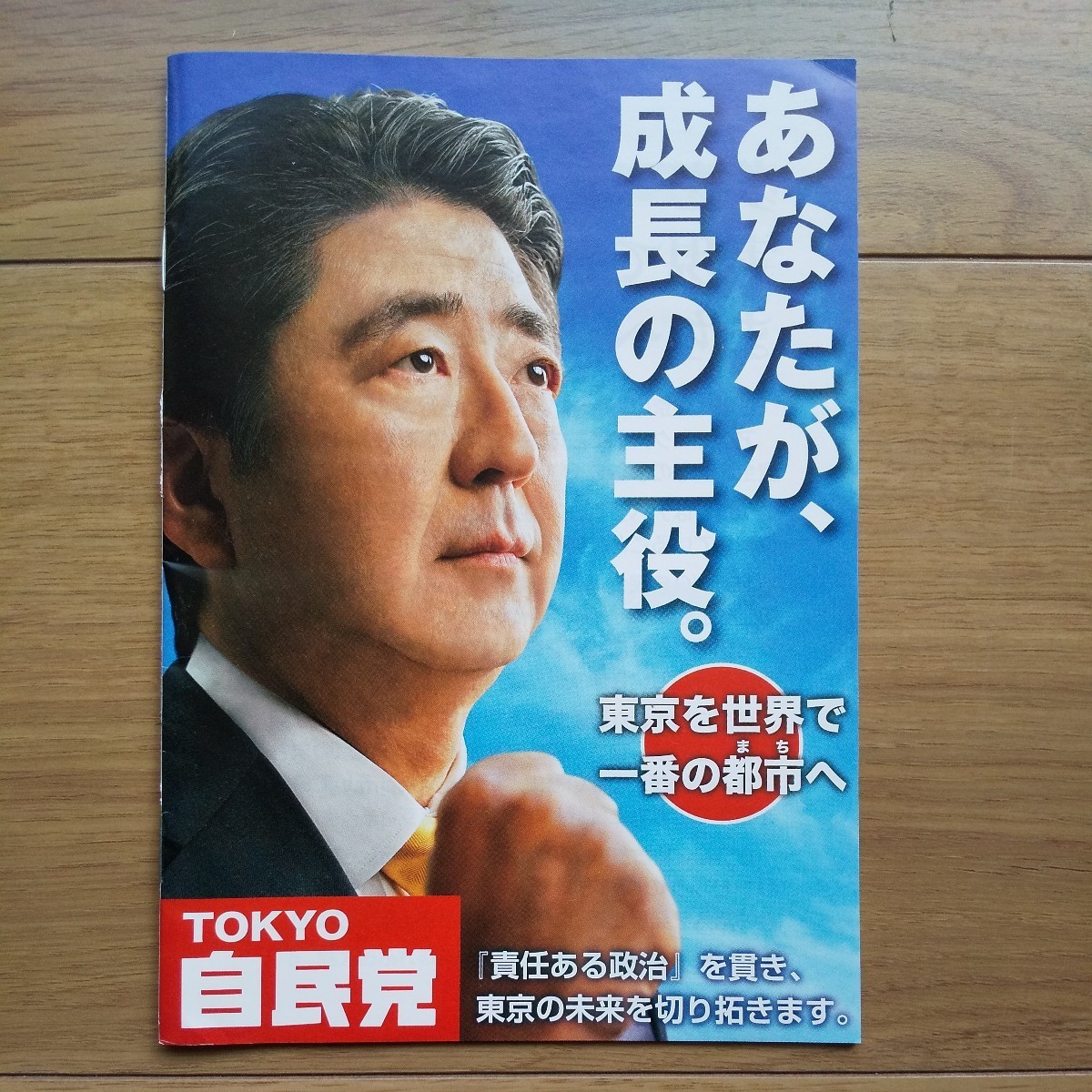 ☆ 発行年不明 東京自民党 安倍晋三総裁 冊子 2冊セット ☆_画像2