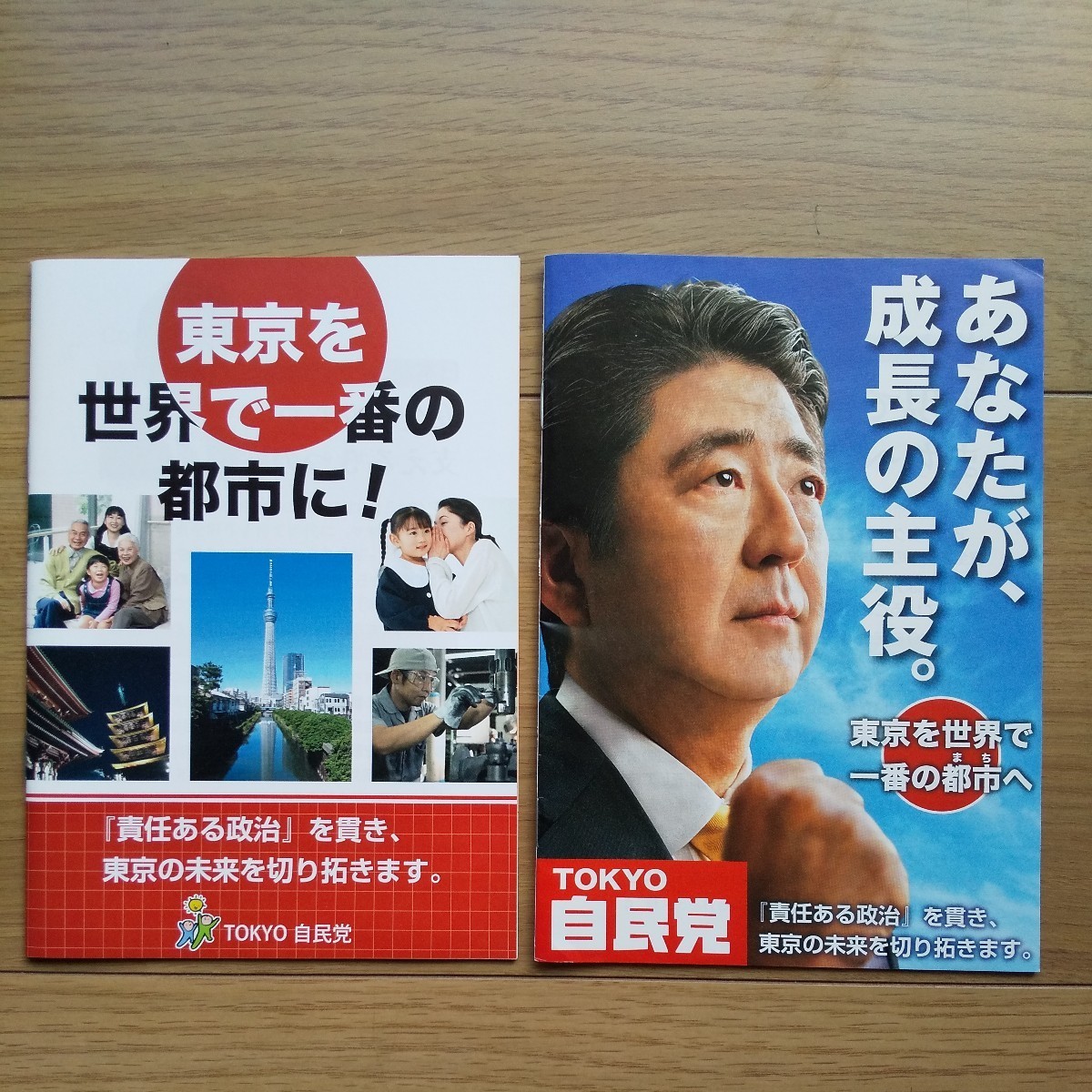 ☆ 発行年不明 東京自民党 安倍晋三総裁 冊子 2冊セット ☆_画像1