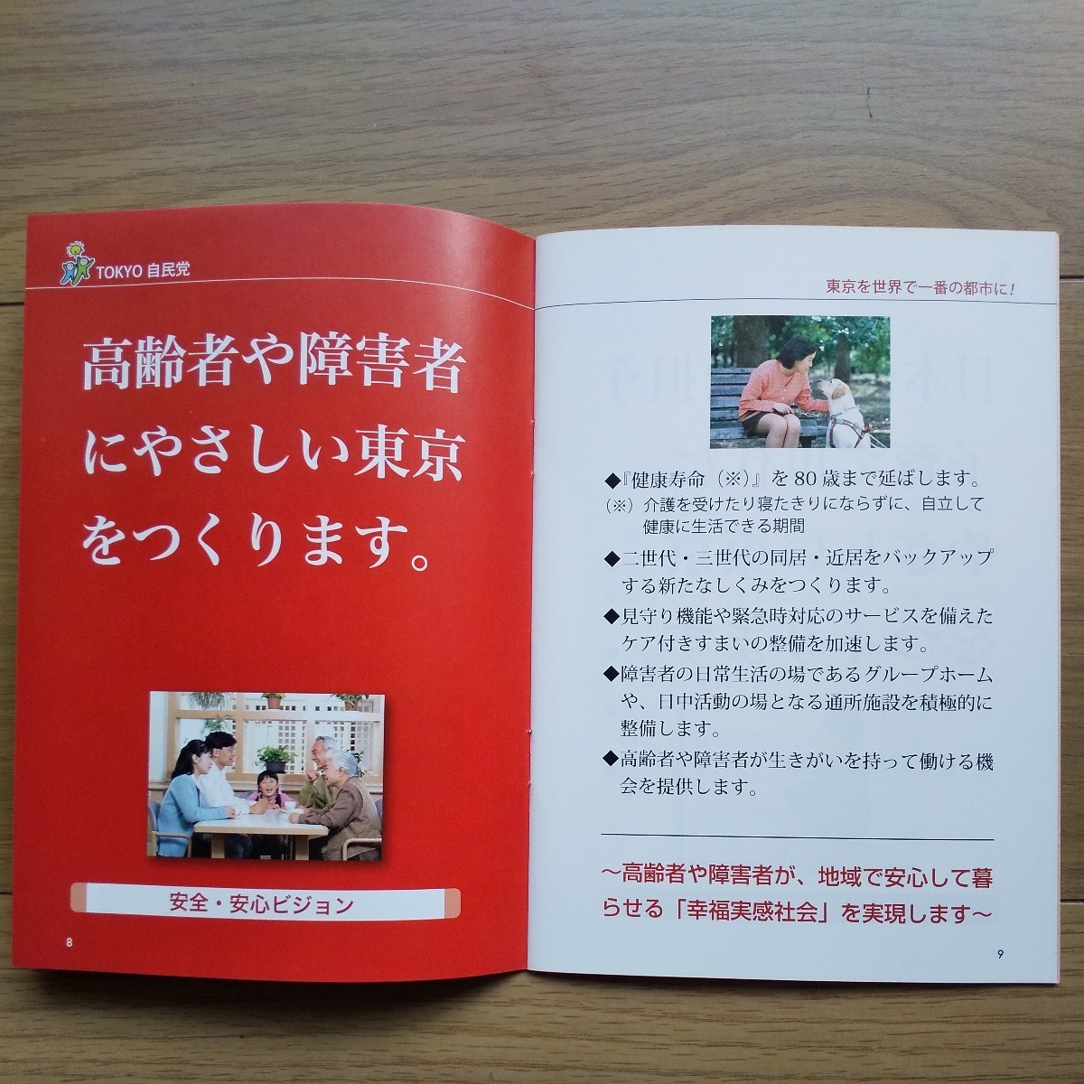 ☆ 発行年不明 東京自民党 安倍晋三総裁 冊子 2冊セット ☆_画像8