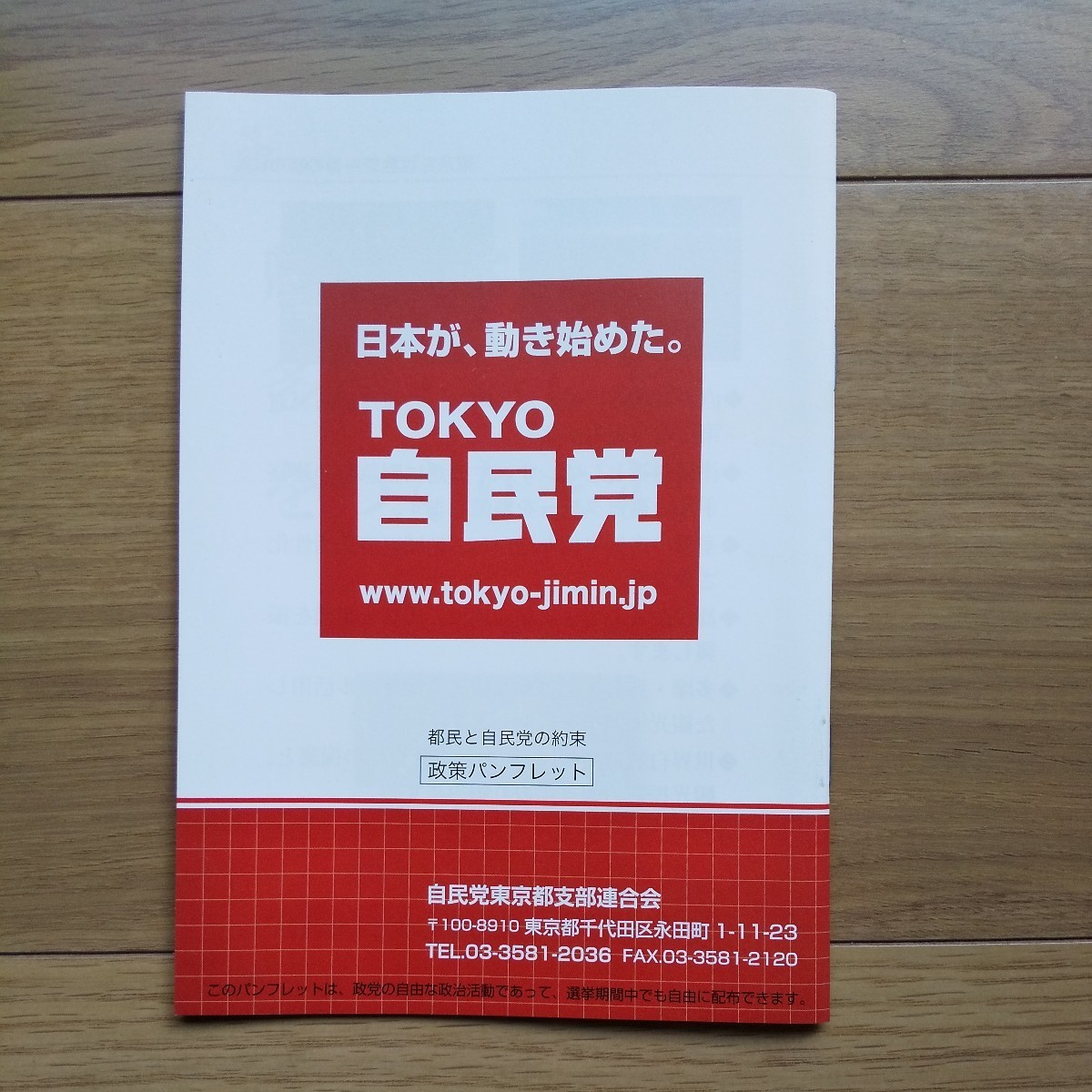 ☆ 発行年不明 東京自民党 安倍晋三総裁 冊子 2冊セット ☆_画像9