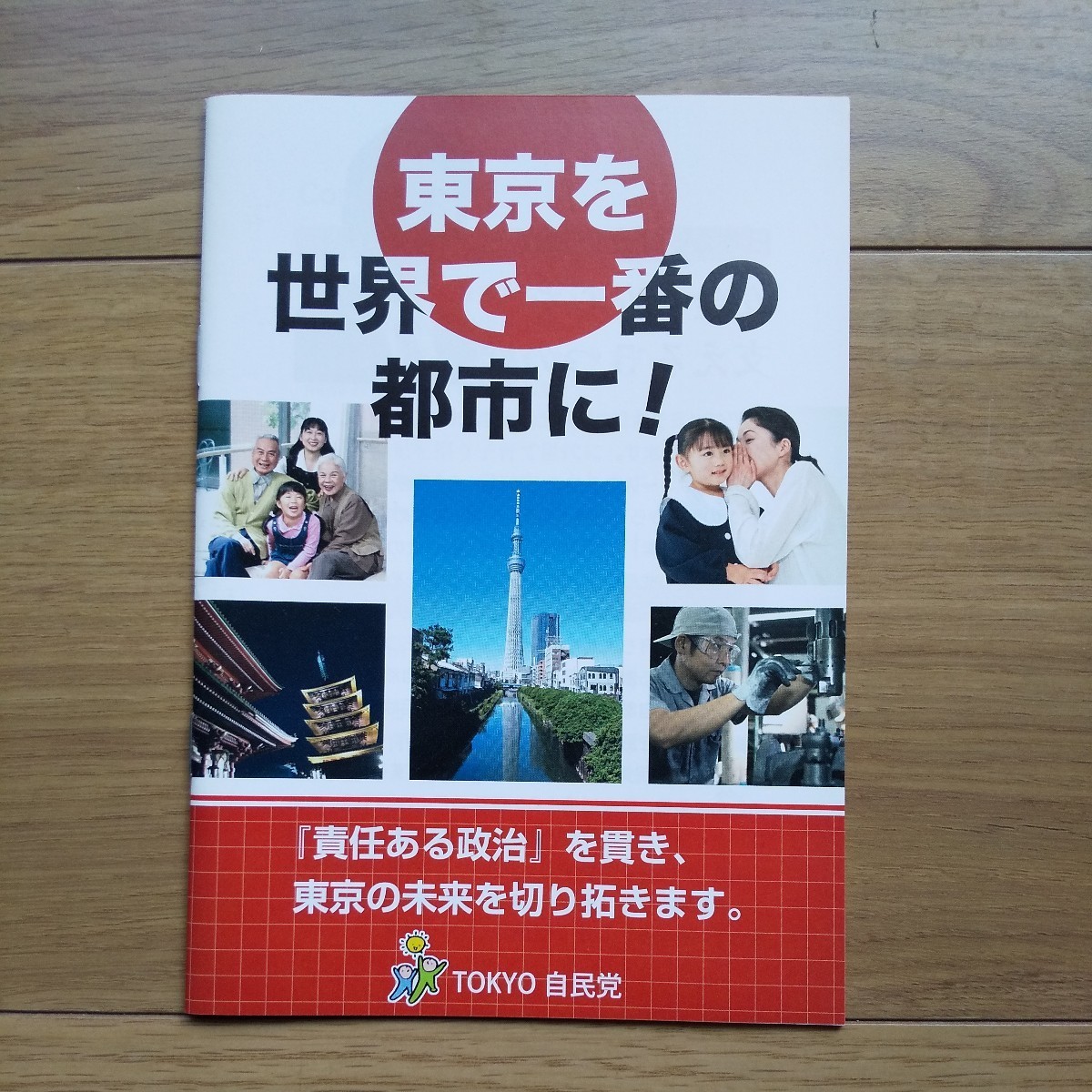 ☆ 発行年不明 東京自民党 安倍晋三総裁 冊子 2冊セット ☆_画像6