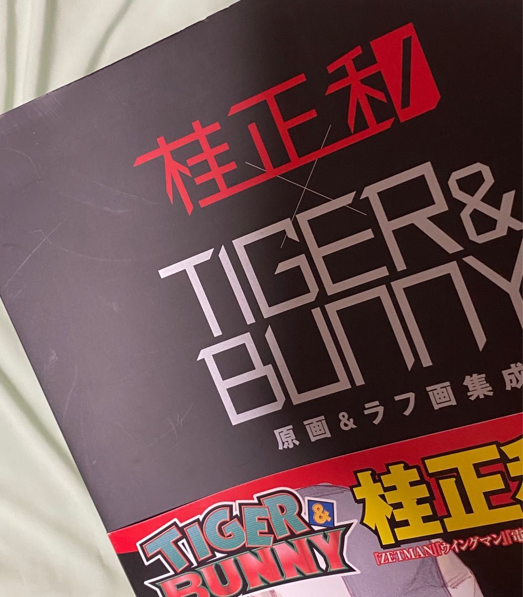 TIGER&BUNNY 桂正和　原画&ラフ画集成