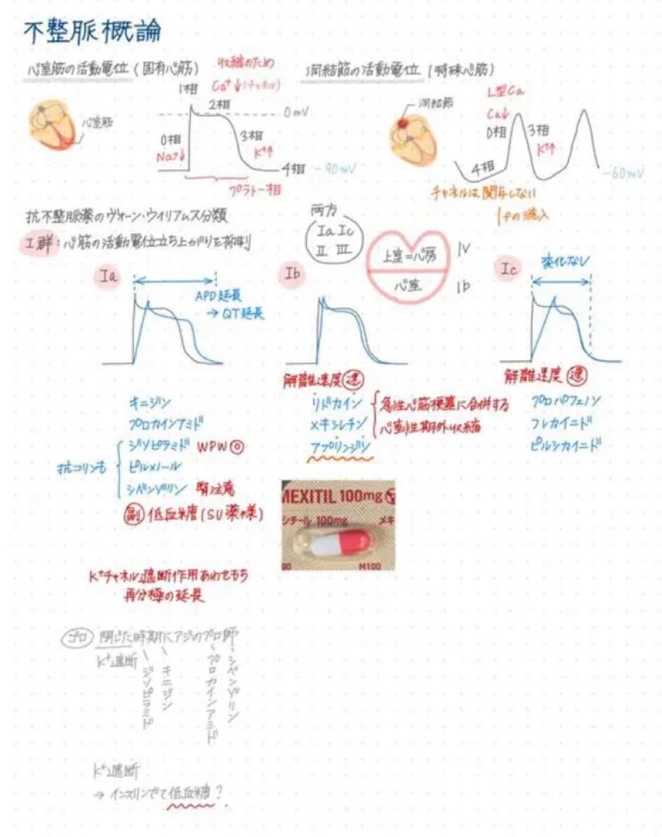 薬剤師国家試験 薬学まとめノート 全科目セット 薬学部|Yahoo 薬剤師国家試験 薬学まとめノート 全科目セット 薬学部|Yahoo