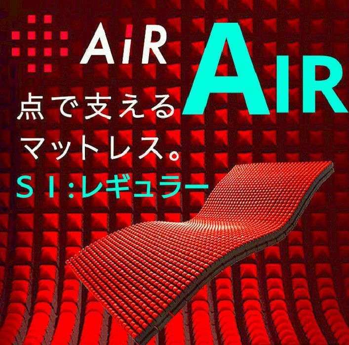 展示品 8月27日(日)まで価格 東京西川AIRエアーＳＩ レギュラー