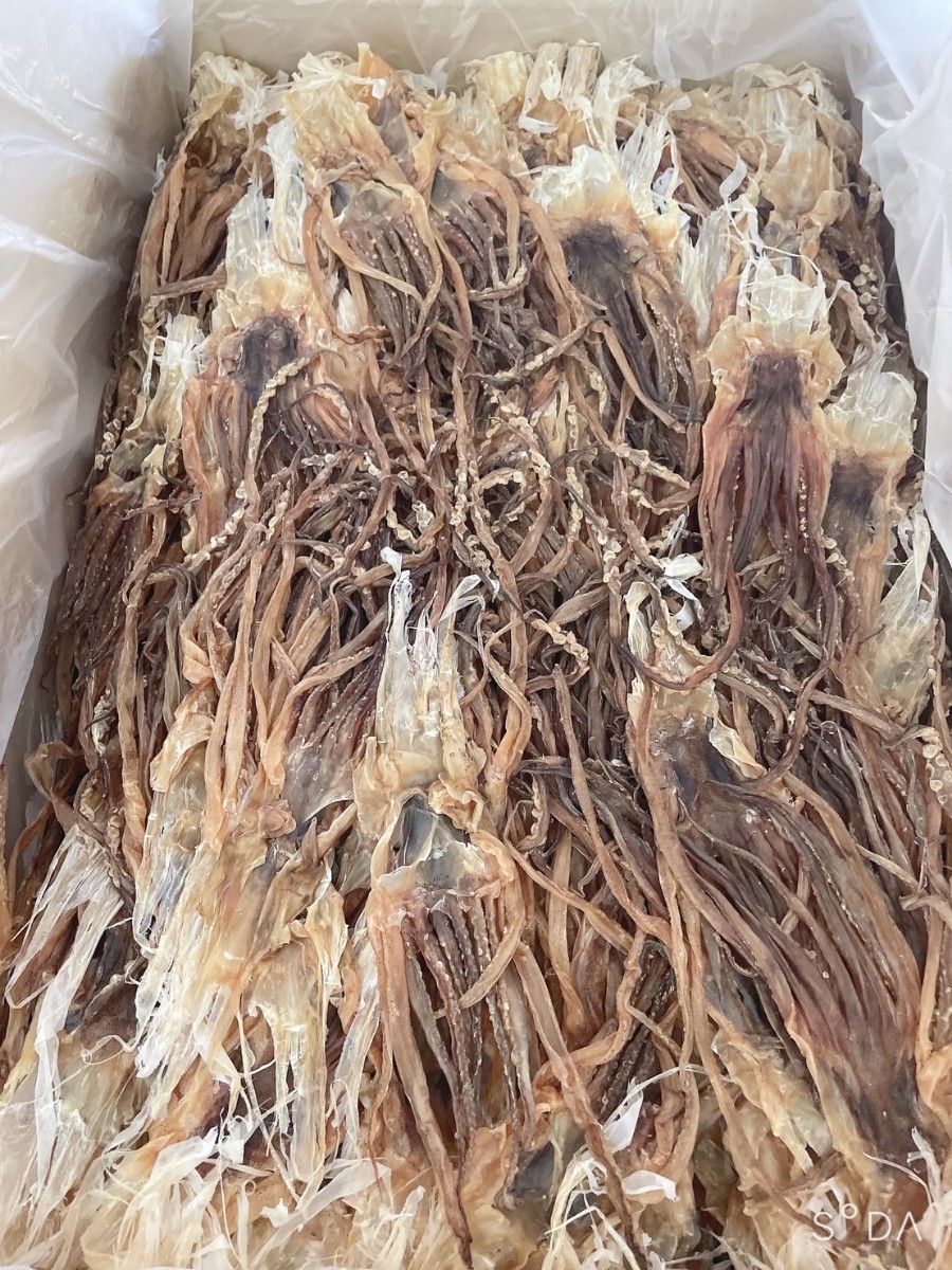 が大特価!が大特価!大好評珍味 真いかするめ足 ペットフード