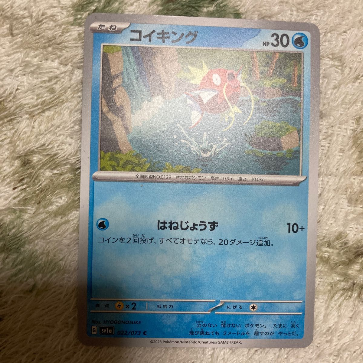 ポケモンカード コイキング ギャラドス 進化レーン2枚セット ポケモンカード コイキング ギャラドス 進化レーン2枚セット