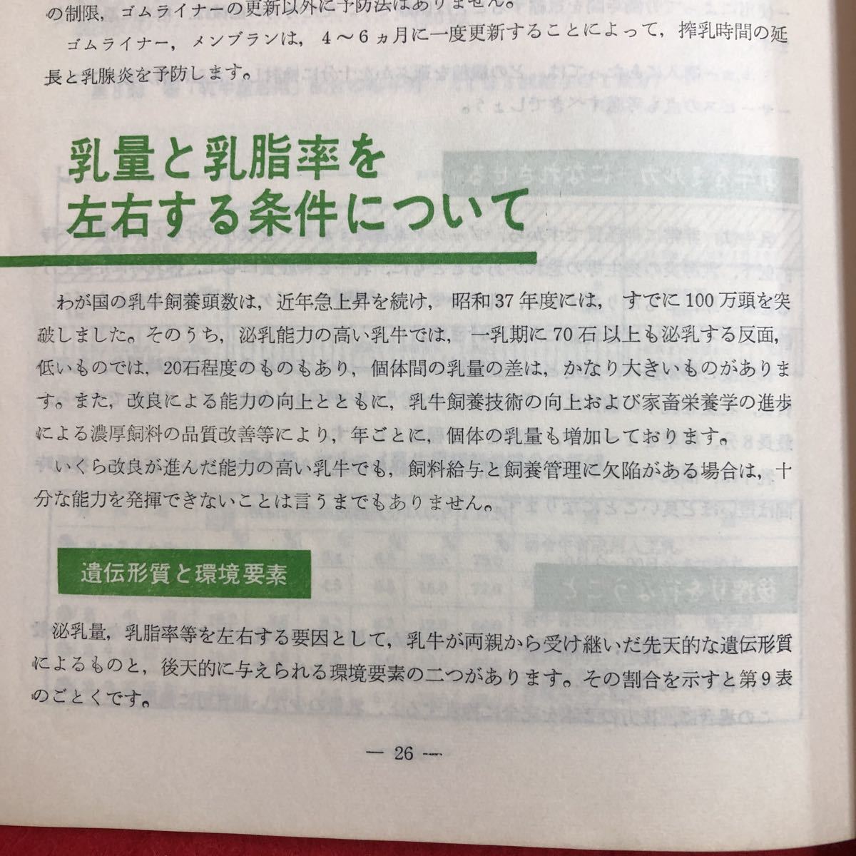 M6c-223 マルエイ 乳牛ガイド 発行日不明 日本農産工業 資料 農業 酪農 乳牛 飼育 経営 搾乳 畜産物 牛乳 病気 養分 仔牛 飼料 管理 栽培_画像6