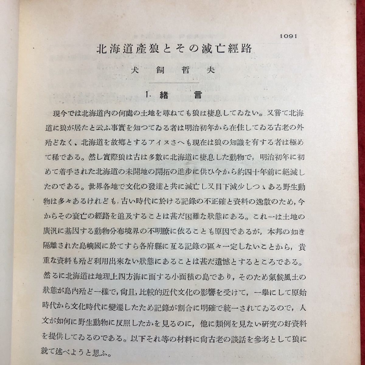 M6d-023 植物及動物 第1巻 第8号 8月号 昭和8年8月1日 発行 養賢堂 研究 論文 雑誌 植物 動物 科学 古本 古語 記事 講座 生物学 資料 問題_画像5