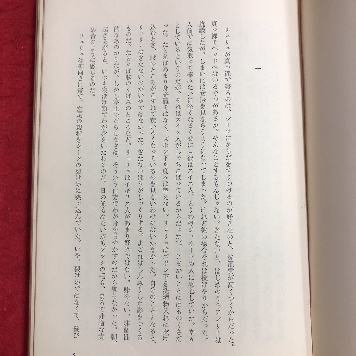 M6e-069 壁 サルトル全集 短編集 訳者 伊吹武彦 昭和45年5月5日 改訂重版発行 人文書院 小説 文学 作品集 外国人作家 水いらず 部屋 解説_画像5