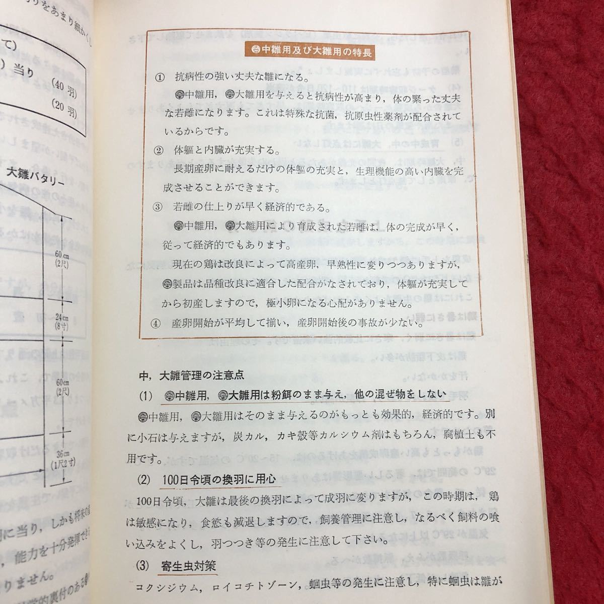 M6e-204 maru ei. chicken guide issue day unknown Japan agriculture production industry agriculture . agriculture chicken rearing materials cage apparatus chicken . sick . measures company commodity hina shipping 
